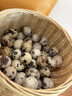 京覓新鮮無(wú)抗鵪鶉蛋 生鮮蛋 健康好蛋 63枚/盒 源頭直發(fā) 曬單實(shí)拍圖
