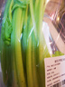有機芹菜（香芹）250g 曬單實(shí)拍圖