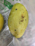 京鮮生云南新鮮玉芒 凈重8斤 單果200g＋ 新鮮芒果 源頭直發(fā)包郵 曬單實(shí)拍圖