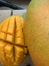 閩域尋鮮金煌芒芒果當季現摘新鮮大芒果應季時(shí)令源頭直采海南水果金煌芒 5斤暢享裝【單果200-400g】?jì)糁?.5斤 【源頭直采】 曬單實(shí)拍圖