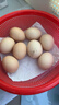 流金大碼谷物鮮雞蛋農林新鮮現撿京東包郵55g左右破損包賠 8枚 曬單實(shí)拍圖