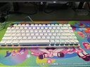 ROG魔導士Ace HFX 電競磁軸鍵盤(pán) 游戲機械鍵盤(pán) 無(wú)畏契約 8K回報率 小蜜蜂戰隊同款 魔導士ACE 75HE PBT月耀白【26年新品】 曬單實(shí)拍圖