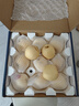 京鮮生山東煙臺維納斯黃金蘋(píng)果凈重4.5斤裝單果80-85mm水果禮盒源頭直發(fā) 曬單實(shí)拍圖