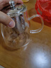 金灶（KAMJOVE）泡茶壺飄逸杯 耐熱玻璃茶具功夫辦公室花茶壺 茶水分離杯茶壺家用 A-02 500ml 曬單實(shí)拍圖