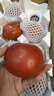 四川攀枝花露天沙瓤大粉番茄應季蔬菜新鮮農家自然熟西紅柿老味道 沙瓤番茄中大果 5斤 發(fā)順豐 曬單實(shí)拍圖
