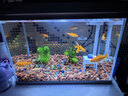 森森（SUNSUN）超白魚(yú)缸一體缸自循環(huán)客廳桌面小型家用水族箱HEJ-380 曬單實(shí)拍圖