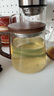 TEAHUE泡茶壺玻璃茶水分離快客杯煮茶壺加厚家用辦公茶具沏茶水壺 曬單實(shí)拍圖