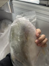 翔泰海南深海金鯧魚(yú)700g2條火鍋生鮮魚(yú)類(lèi)BAP認證 海鮮水產(chǎn) 曬單實(shí)拍圖