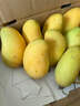 閩域尋鮮金煌芒芒果當季現摘新鮮大芒果應季時(shí)令源頭直采海南水果金煌芒 5斤暢享裝【單果200-400g】?jì)糁?.5斤 【源頭直采】 曬單實(shí)拍圖