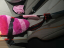 舒童樂(lè )兒童安全座椅便攜式可折疊坐墊寶寶座椅北美氣質(zhì)黑（3C認證） 曬單實(shí)拍圖