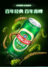 青島啤酒（TsingTao）經(jīng)典系列 濃郁麥香500ml*24聽(tīng) 整箱裝 曬單實(shí)拍圖