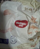 好奇（Huggies）軟萌星人柯基拉拉褲XXXL24(17kg以上)尿不濕【軟糯貼貼】 曬單實(shí)拍圖
