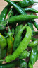 正宗農家自種辣妹子辣椒新鮮超辣特辣現摘薄皮青椒魔鬼辣椒 新鮮辣妹子5斤2.5kg 曬單實(shí)拍圖