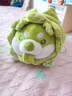 OSKV白菜狗玩偶毛絨玩具蔬菜精靈小狗娃娃女生生日禮物稀奇古怪小玩意 白菜狗玩偶【40cm】 曬單實(shí)拍圖