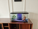 喜高超白玻璃魚(yú)缸智能魚(yú)缸免換水小型客廳水族箱一體式過(guò)濾氧氣魚(yú)缸 黑色-魚(yú)缸+造景 600*268*322mm 曬單實(shí)拍圖