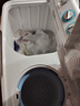 海爾（Haier）半自動(dòng)雙桶雙缸洗衣機 12KG大容量  強力去污洗大件 一級能效家電國家補貼以舊換新 XPB120-81D2 曬單實(shí)拍圖