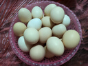 云依禾農莊 散養雞蛋新鮮現撿土雞蛋谷物蟲(chóng)草柴雞蛋笨雞蛋生鮮 【鮮雞蛋】50枚 曬單實(shí)拍圖