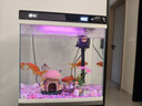 英準魚(yú)缸客廳落地靠墻一體柜自循環(huán)免換水立式客廳智能魚(yú)缸造景生態(tài)缸 300型智能魚(yú)缸+魚(yú)缸底柜 曬單實(shí)拍圖