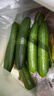 京地達山東水果黃瓜圣女果組合 凈重5斤 單果6g+蔬菜源頭直發(fā)包郵 曬單實(shí)拍圖
