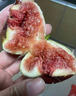 蒲戀無(wú)花果新鮮水果【順豐JD送貨上門(mén)】云南無(wú)花果當季孕婦鮮果現摘 1斤凈重【大果暢銷(xiāo)裝】 曬單實(shí)拍圖