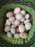 正宗散養生鴨蛋農家新鮮鴨蛋正宗散養土鴨蛋現撿現發(fā)養生部分帶泥 30枚生鴨蛋 曬單實(shí)拍圖