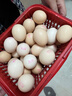 趣嘗鮮五谷鮮雞蛋15枚/盒 凈重750g 源頭直發(fā) 曬單實(shí)拍圖