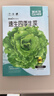 菜禾地 生菜種子苗意大利生吃春季種陽(yáng)臺菜籽 速生四季生菜種子約2000粒 曬單實(shí)拍圖
