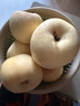 甜醉了 奶油富士脆甜煙臺蘋(píng)果黃金富士山東水果棲霞紅富士應季丑蘋(píng)果 凈重8.5斤75-80mm 曬單實(shí)拍圖