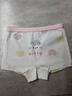 尼多熊【桑蠶絲抗菌】?jì)和瘍妊澟痑類(lèi)女孩中大童平角短褲不夾屁屁 曬單實(shí)拍圖