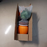 【綠蘿盆栽】吸甲醛凈化空氣水培綠植物懶人花卉好養搬家禮物全 【暢銷(xiāo)2盆】綠蘿+橙色南瓜盆自吸水 整體含盆高度20-25cm 曬單實(shí)拍圖