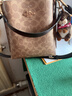 蔻馳（COACH）【品牌直供】女士奢侈品MOLLIE小號斜挎水桶包CBQ33禮物 曬單實(shí)拍圖