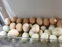 百里坡【達州館】萬(wàn)源舊院黑烏雞黑雞蛋生態(tài)放養純糧喂養富硒雞蛋山雞蛋 60枚 曬單實(shí)拍圖