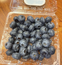 【精品】云南新鮮藍莓當季脆甜孕婦寶寶輔食護眼水果現摘 15-18mm【4盒裝】 曬單實(shí)拍圖