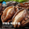 海鮮世家去肚特大鮑魚(yú)12粒裝360g盒裝免處理火鍋燒烤食材海鮮禮盒 曬單實(shí)拍圖