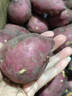 鹿凌青海南橋頭地瓜農家種植澄邁富硒新鮮沙地紅薯板栗薯自家粉糯番薯 中果 9斤 曬單實(shí)拍圖