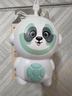 易績(jì)優(yōu)兒童早教機唱歌睡前故事機陪伴學(xué)習唐詩(shī)幼兒寶寶啟蒙粵語(yǔ)熏聽(tīng)玩具 熊貓早教機【升級版+海量?jì)热荨?曬單實(shí)拍圖