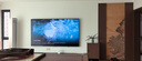 海信電視100E5Q 100英寸 超畫(huà)質(zhì)U+MiniLED 柔光防眩屏 高刷 U+超畫(huà)質(zhì)引擎Pro AI智能會(huì )議電視 國家補貼 曬單實(shí)拍圖