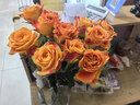 單頭玫瑰隨機色10枝 曬單實(shí)拍圖