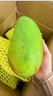 新鮮當季正宗越南玉芒果新鮮芒果青皮熱帶薄皮水果季 綠色 大青金煌芒200克+帶箱5斤（凈重4.7斤） 曬單實(shí)拍圖