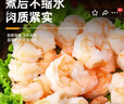 朵芙蝦仁大號 國產(chǎn)青蝦仁新鮮活剝冷凍大蝦仁 手工去蝦線(xiàn)海鮮水產(chǎn)蝦類(lèi) 3140特大青蝦仁 10斤(凈重) 曬單實(shí)拍圖