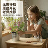 IAM City Farmer鳳仙花種子DIY兒童種植小盆栽 幼兒園學(xué)生實(shí)驗套裝種植作業(yè)10083 曬單實(shí)拍圖
