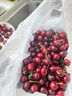 甜盟 車(chē)厘子櫻桃【JD順豐-多地次日達】大連美早國產(chǎn)櫻桃新鮮水果禮盒 3斤(凈重) 【超值裝-80%選】爽吃禮盒 人工挑選 精品大果 J 單果26-28mm 曬單實(shí)拍圖