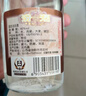 汾酒 紅蓋玻汾 清香型白酒 42度 475mL*12瓶 整箱裝 曬單實(shí)拍圖