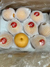 京鮮生 萊陽(yáng)秋月梨冰糖梨 凈重10斤 單果250g+ 生鮮水果家庭裝 曬單實(shí)拍圖