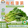 彩虹雨 北京農場(chǎng)有機小菠菜250g   歐盟認證有機蔬菜 自農場(chǎng)新鮮直發(fā)菠 曬單實(shí)拍圖
