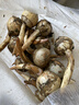 云南新鮮現挖白茨菇野生馬蹄菇燕粉糯慈姑火鍋蔬菜 帶箱2斤大果 曬單實(shí)拍圖