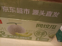 京鮮生海南牛三蜜瓜網(wǎng)紋瓜 單果2斤起 凈重4-5斤 2粒彩箱 源頭直發(fā) 曬單實(shí)拍圖