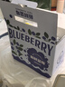 京鮮生 云南藍莓 12盒 超大果22mm+裝 125g/盒 生鮮水果 源頭直發(fā) 曬單實(shí)拍圖