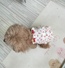 嬉皮狗（hipidog）狗狗衣服櫻桃甜心滿(mǎn)印牽引吊帶泰迪比熊小型幼犬春夏季寵物連衣裙 櫻桃吊帶裙（可牽引） M （建議體重5-8斤） 曬單實(shí)拍圖
