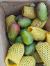 甜果源 海南七彩貴妃芒果 紅金龍樹(shù)上現摘大青皮熟芒果應季新鮮水果禮品 凈重4.5斤【力推裝】 單果150g+【品質(zhì)果】 曬單實(shí)拍圖
